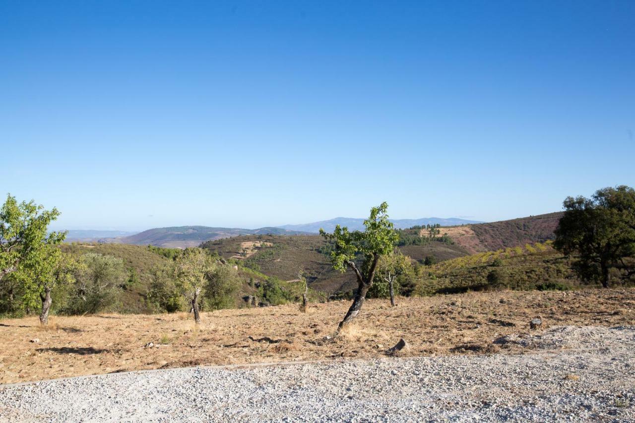 Desafios Da Horta Villa Souto da Velha ภายนอก รูปภาพ